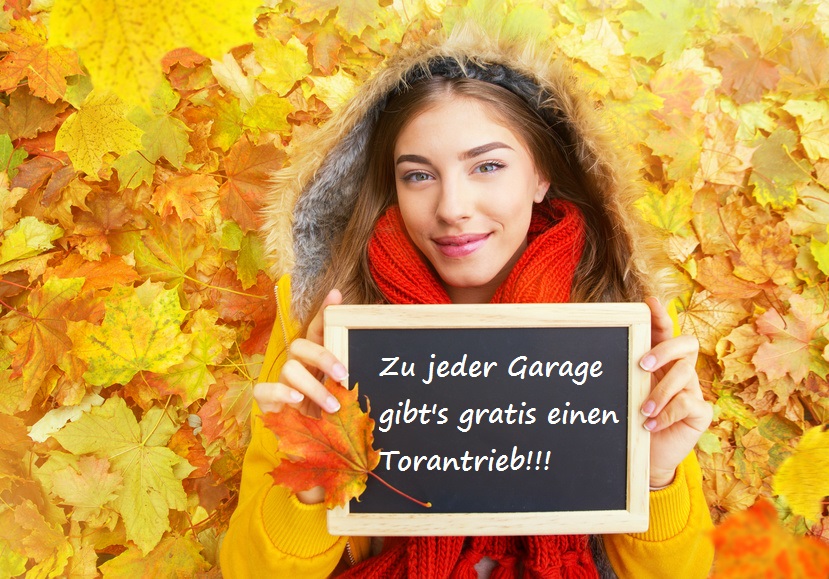 Bild Herbst Aktion Garage mit Torantrieb